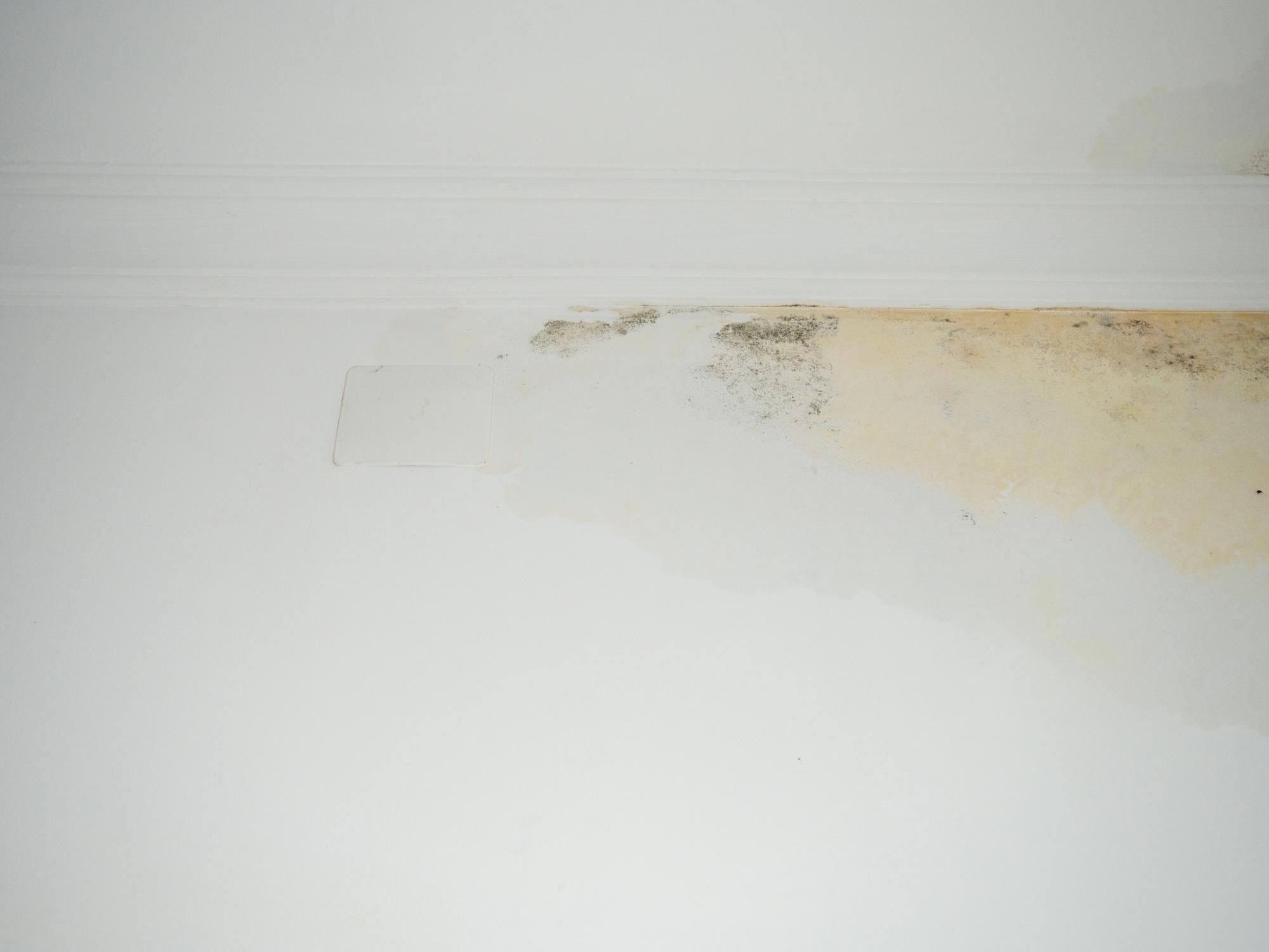Chimney Leak Repair & Waterproofing